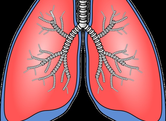Онколог перечислил первые симптомы рака лёгких